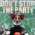 makna-lagu-dont-stop-the-party-pitbull