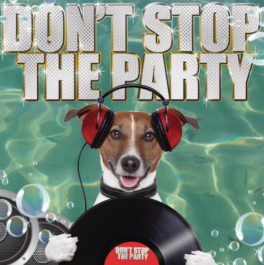 makna-lagu-dont-stop-the-party-pitbull