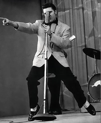 makna-lagu-hound-dog-elvis-presley